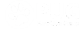 Pune User logo