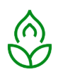 Lifespan logo