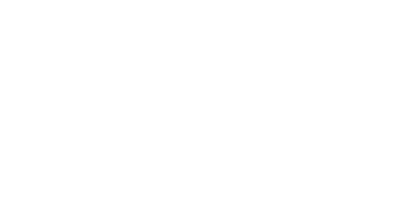 Sarju Impex logo