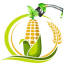 AITHANOLI CIBUS logo