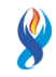 SV Gas Solutions logo