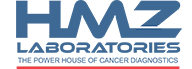 HMZ Laboratories logo