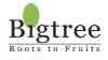 Bigtree Entertainment logo