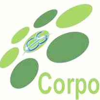 corporate solution logo