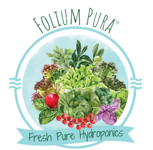 Folium Pura logo