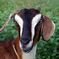 Farmer Junction profile photo