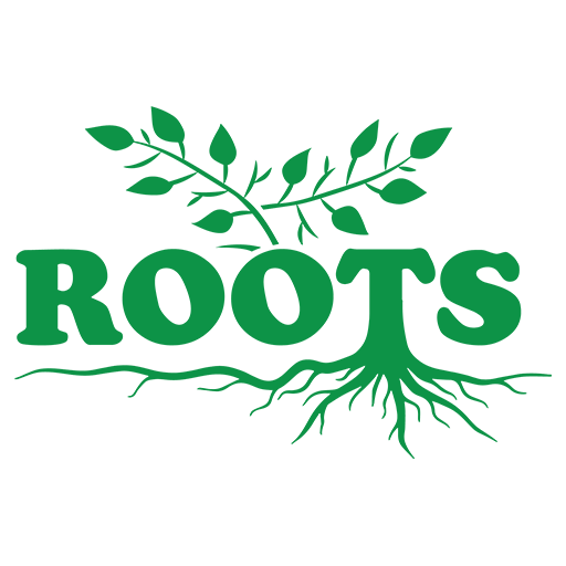 Vedic Roots logo