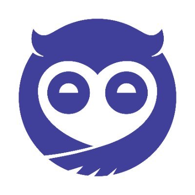 Sleepy Owl logo