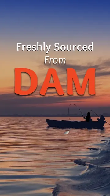 Dam Good Fish screenshot 1