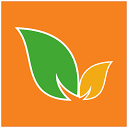 Ngreen International logo