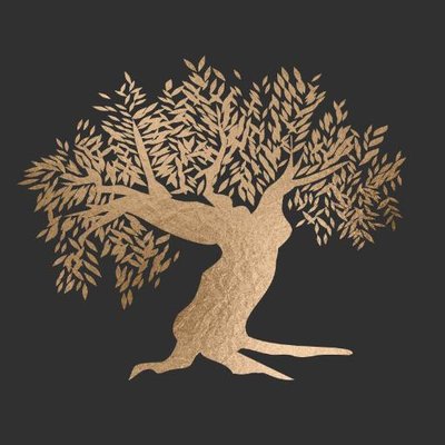Olive Tree Trading logo