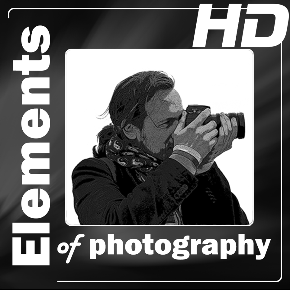 Elements of Photography logo