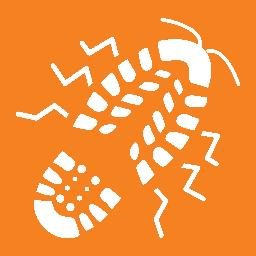 Travel Roach logo