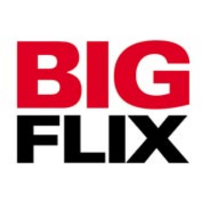 BigFlix logo