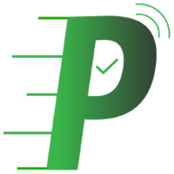 Payout Fintech logo