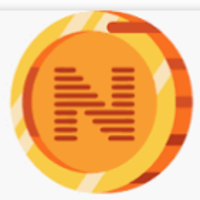 Net paisa logo