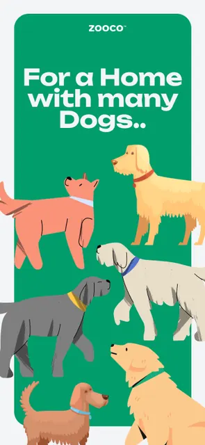 zooco - wellness app for pets screenshot 6