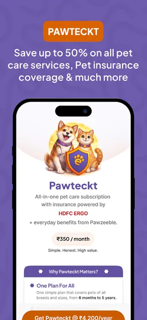 Pawzeeble screenshot 6