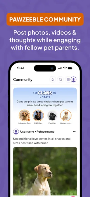 Pawzeeble screenshot 5