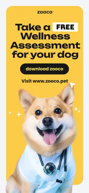 zooco - wellness app for pets screenshot 2