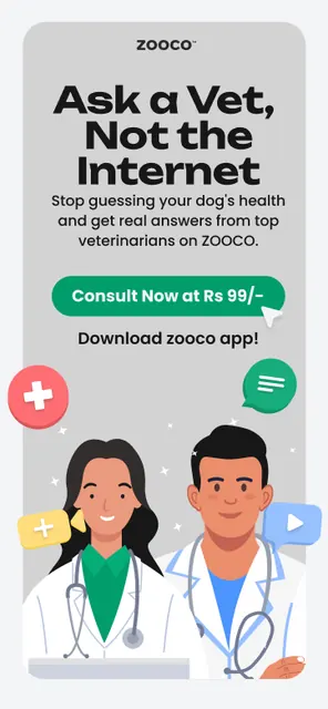 zooco - wellness app for pets screenshot 3