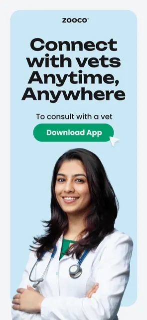 zooco - wellness app for pets screenshot 4