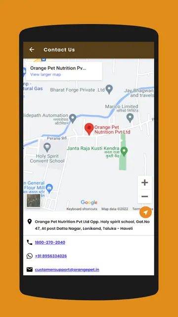 Orange Pet screenshot 5