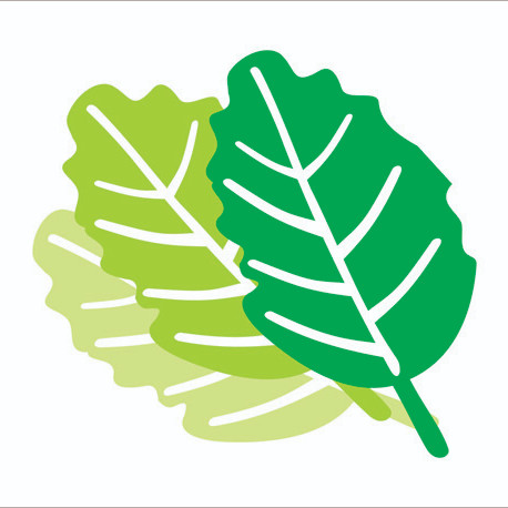 Thulasi Pharmacy logo
