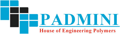 Padmini Innovative Marketing Solutions logo