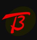 T3 logo