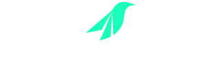 Swift File Transfer logo
