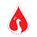 Celebrate Life Wellness logo