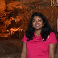 Gayathri N profile photo
