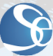 Shiva Engineering Services logo