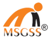 MSG Solution and Services logo