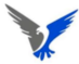 Faalcon logo