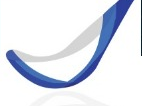 VeriRight logo