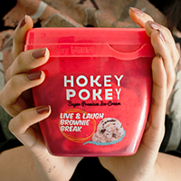 Hokeypokey logo