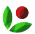 Vismaya logo