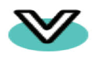 Vinny Overseas logo