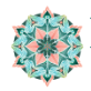 Happy Soul logo