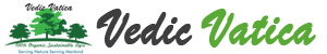 Vedic Vatica logo