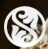 SAJEELEE logo
