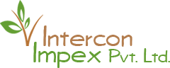 Intercon Impex logo