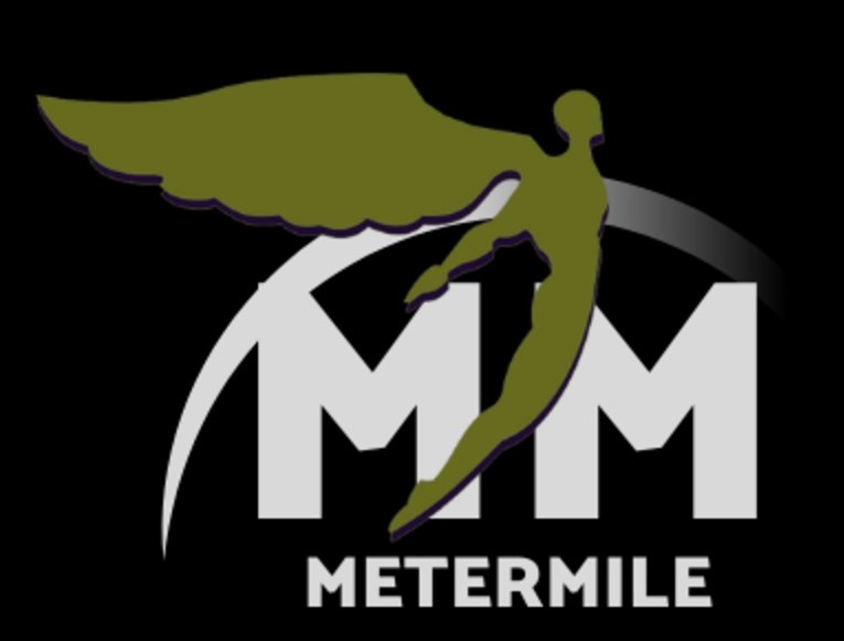 Metermile logo