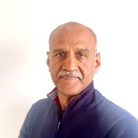 Sajal Gupta profile photo