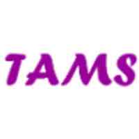 TAMS Infotech logo