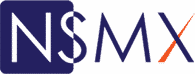NS Matrix Services logo