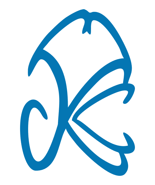 Kavin Corporation logo