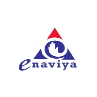Enaviya Information Technologies logo